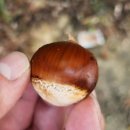 기아생활관(화산삼거리 방면) | [경기둘레길화성47코스] 프로둘레러 둘레길 완주하기 화성시 트레킹 코스 #서해랑길87코스 #이화횟집...