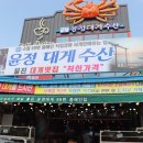 GR(울진군)-[울진북로]-상-15 | 부족함없던 울진맛집