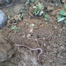 이덕주농장 이미지