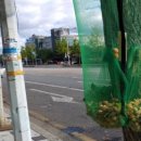 고양시청로 이미지