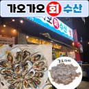동구청로 | [대전 가오동] 세꼬시 맛집 "가오가오회수산" 방문 후기