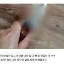 르노집게손 여직원 살인 예고글 급속 확산 중 이미지