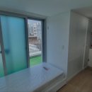 비디테일 이미지