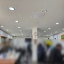 강릉역 현지인 화덕생선구이 맛집 [금화식당] 화덕모듬생선구이 내돈내산