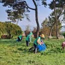 정안마을 이미지