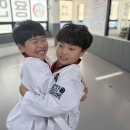 용인대 드림태권도장 이미지