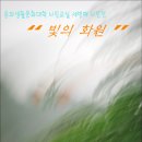 다솜화원 이미지