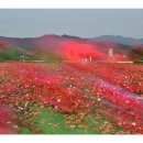 바람불어좋은날 이미지