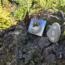 바우네 민박 이미지