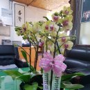 삼주에너지