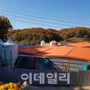 노른터농장 이미지