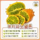 키와노 이미지