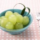 노인심리상담사 자격과정 이미지