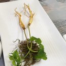 성포회식당