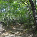 곡성-235 이미지