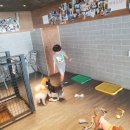 People&Dog(피플앤독) 이미지