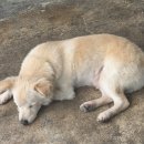 올어웨이크 | [국립무형유산원]2026년 무형유산 공연기획자 역량강화 과정 강의 <무형유산 홍보 일문일답> 후기