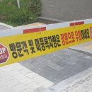 양지자동차용품