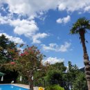 천대국치길 이미지