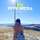 알파카프라자 | 강원도 겨울 여행코스 평창 1박2일 여행지 놀거리 추천