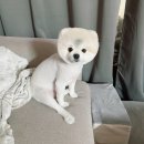 멈무살롱 네이버블로그