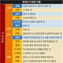 명태사랑 이미지