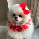 마이하트 이미지