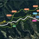 편백인 울산 이미지