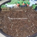 두진농장 이미지