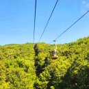 팔공산케이블카 이미지