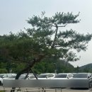38마일