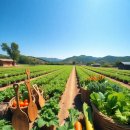 제언농장 이미지