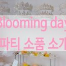 서울 브라이덜샤워 한강뷰 파티룸 블루밍데이 스튜디오