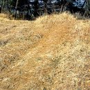 지성축산2 이미지