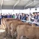 장흥군한우영농조합법인 이미지