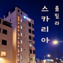 강릉 스카리아풀빌라 스파펜션 대만족 숙박후기