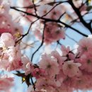 청운행정사 이미지