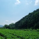 가평옛길 이미지