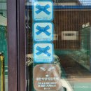 제주 크로아상 [레이어스 베이크 하우스]