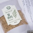 영암귀리부인