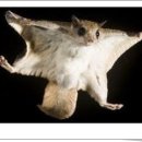 아트플라이 이미지