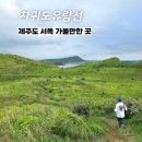 구로-현장-구로-1160 | [공지] 차귀도유람선, 섬탐방투어 - 제주투어패스로 예약하고 이용한 후기, 제주도 서쪽 가볼만한 곳