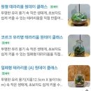 미광장식 - 서대문구 연희로 94 | 부산 원데이클래스 압화 원데이클래스 체험 공간 a.g.t(아제떼)에서 압화 액자 체험 후기