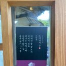 카페 루치아