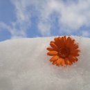 내일봬요 이미지