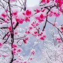 나철한의원 이미지