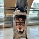 (합)미래렌트카 | 아기랑 제주여행