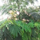 몽산농장 이미지