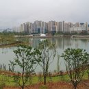 호수공원 이미지