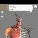 바디앤짐 신월점 이미지